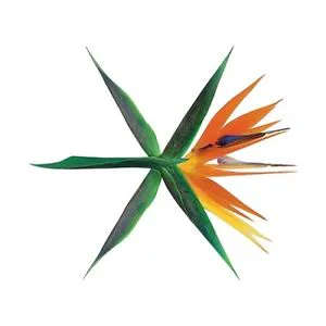Pochette de l’album The War de EXO
