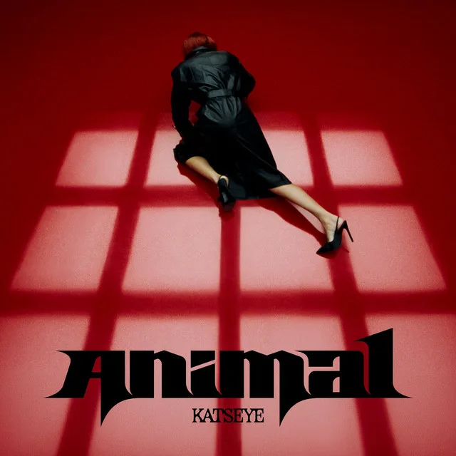 Pochette de l’album Animal de KATSEYE