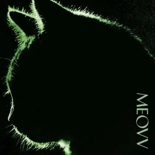 Pochette de l’album TOXIC de MEOVV