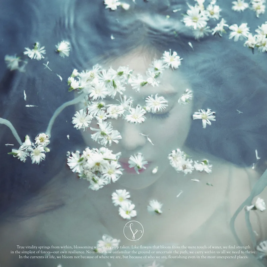 Pochette de l’album Like A Flower de Red Velvet