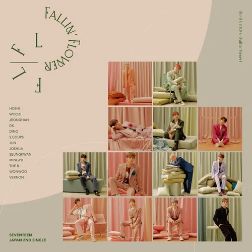 Pochette de l’album Fallin' Flower de SEVENTEEN
