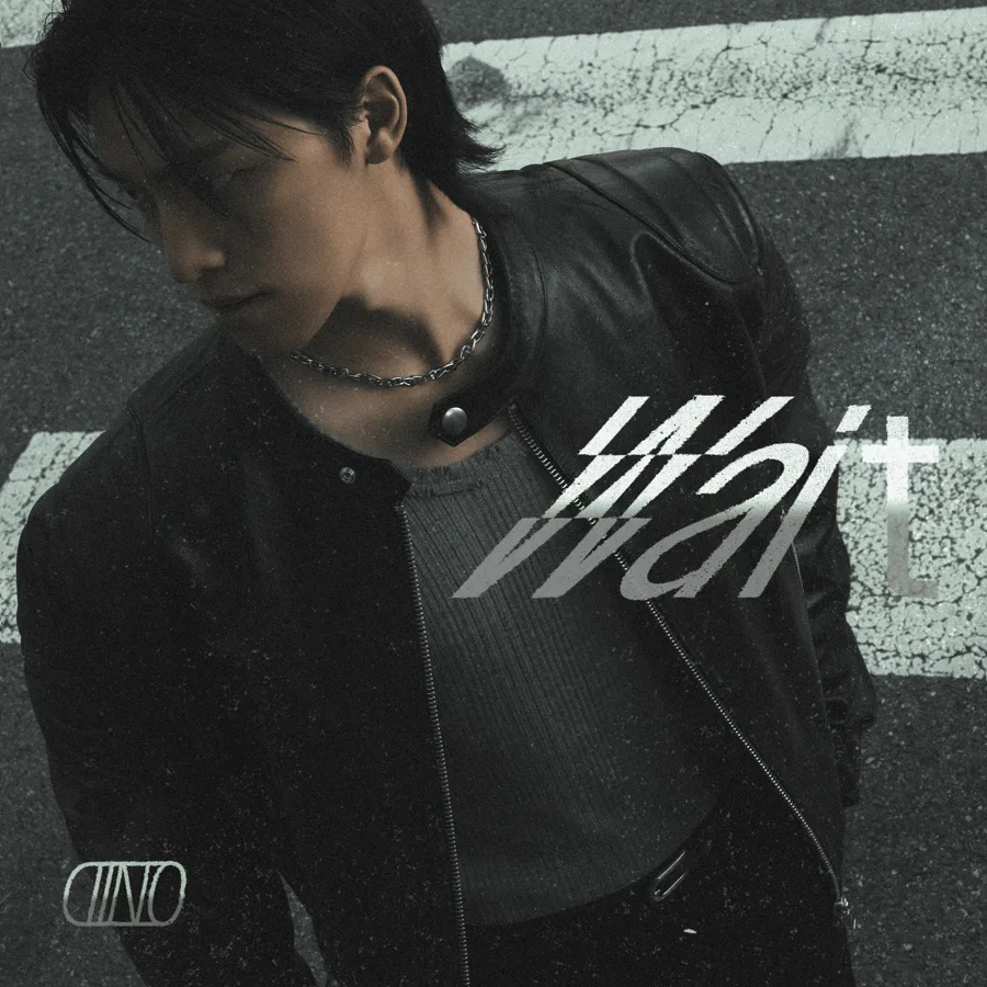 Pochette de l’album Wait - Dino Digital Single de SEVENTEEN