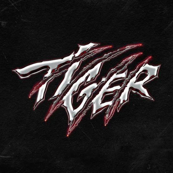 Pochette de l’album Tiger de THE BOYZ